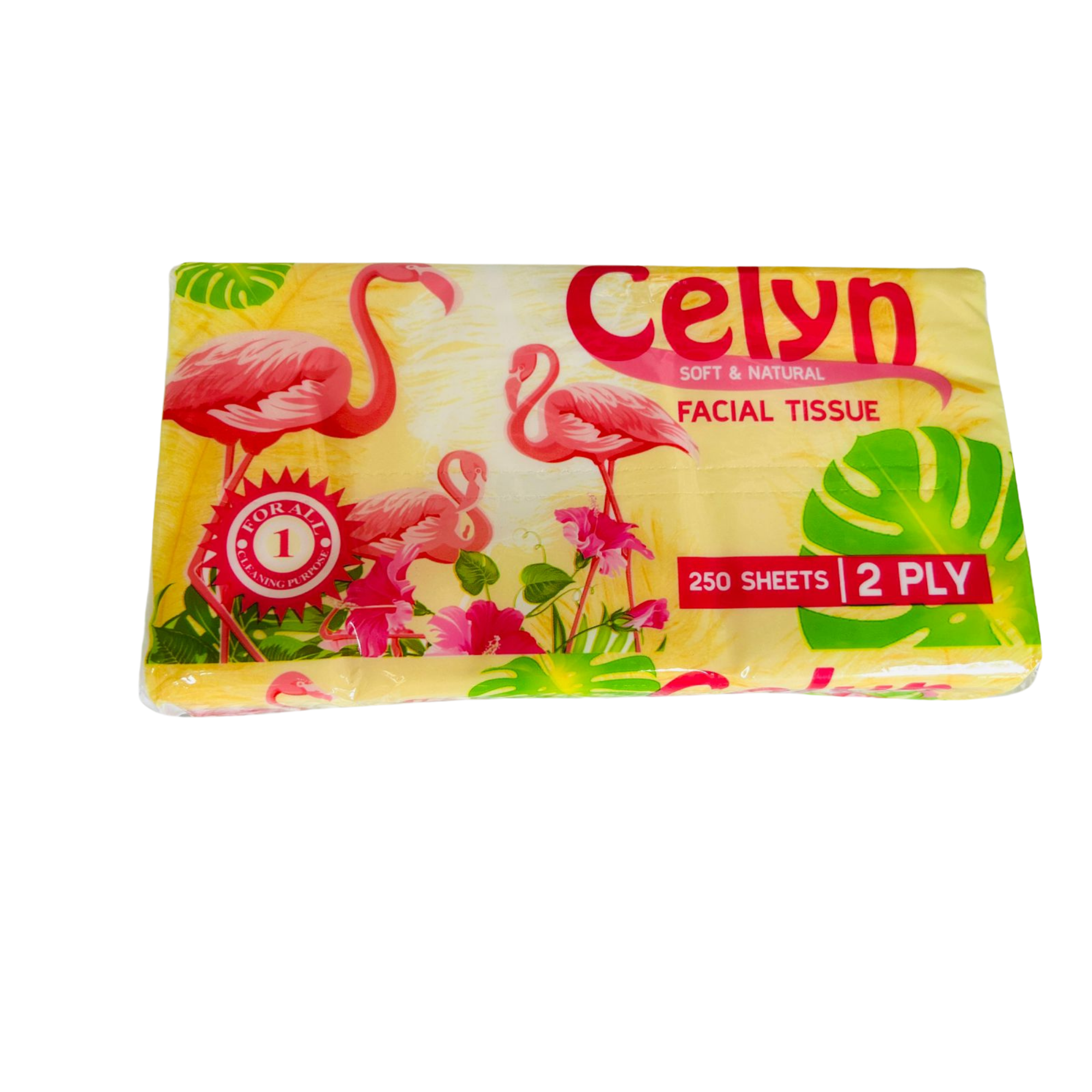 Facial Tissue 250 gr